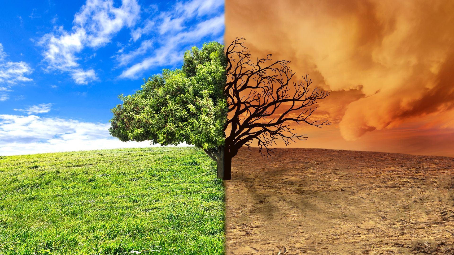 Climate Change Adaptation and Resilience